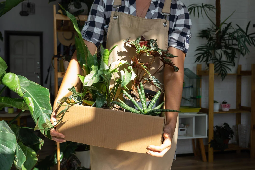 Troc de plantes, de petit outillage de jardin, vente de livres, miel