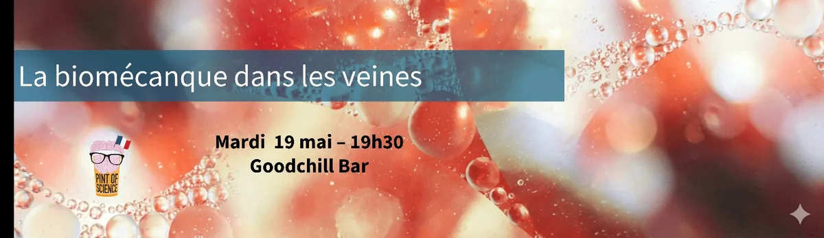 Pint of Science Compiègne – La biomécanique dans les veines